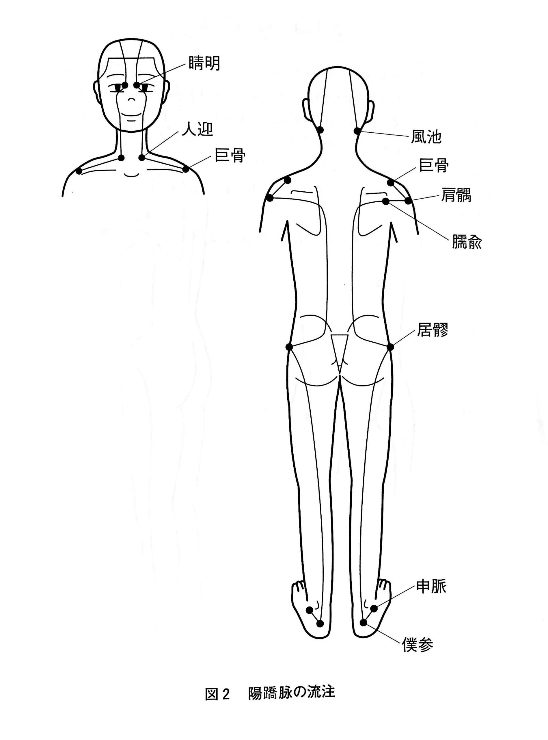 Miyawaki Kazuto Yokyo