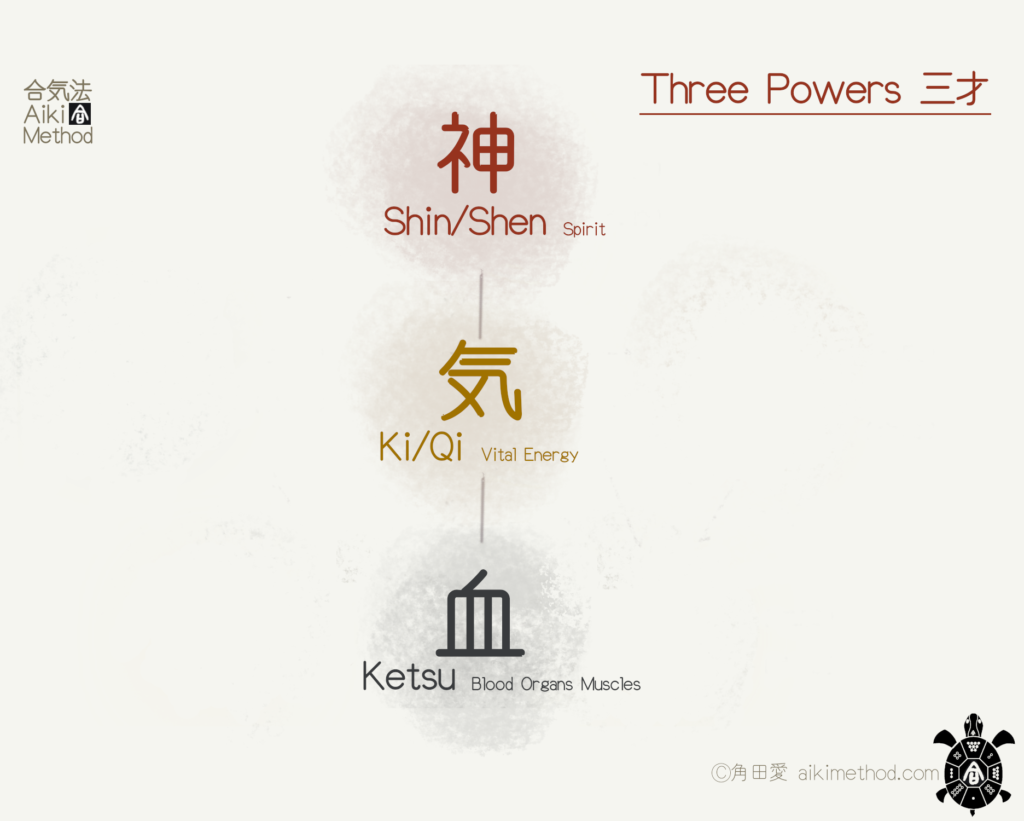 Aiki Method Three Powers - Boulder Japanese Acupuncture
