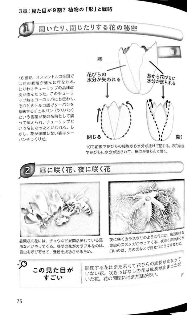 Inagaki Botany