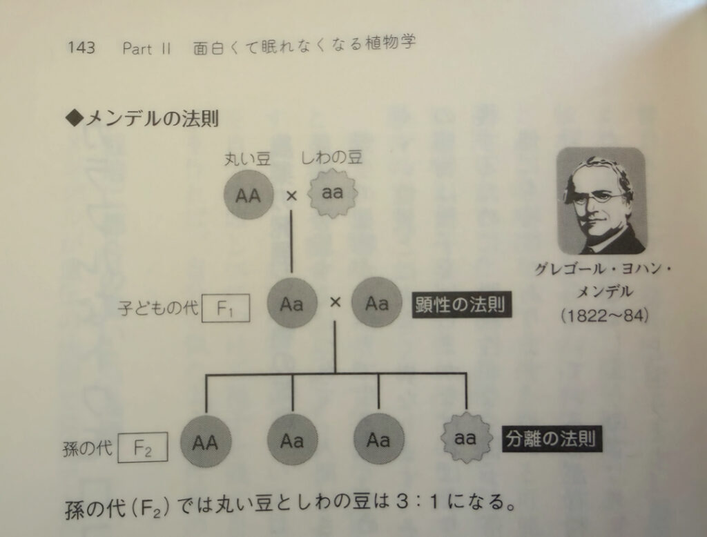 Inagaki ーMendel's Laws