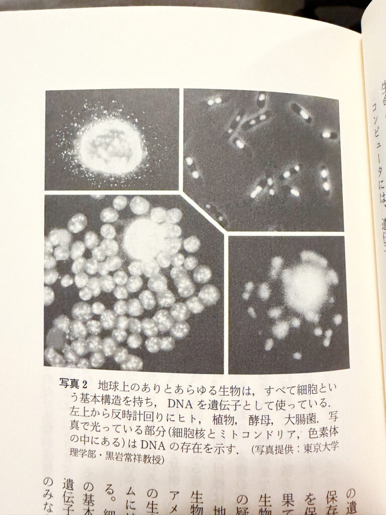 Tsukaya Botany
