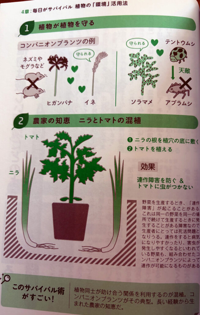 Inagaki Botany Companion Plants