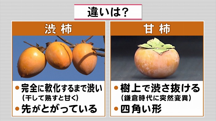 渋柿