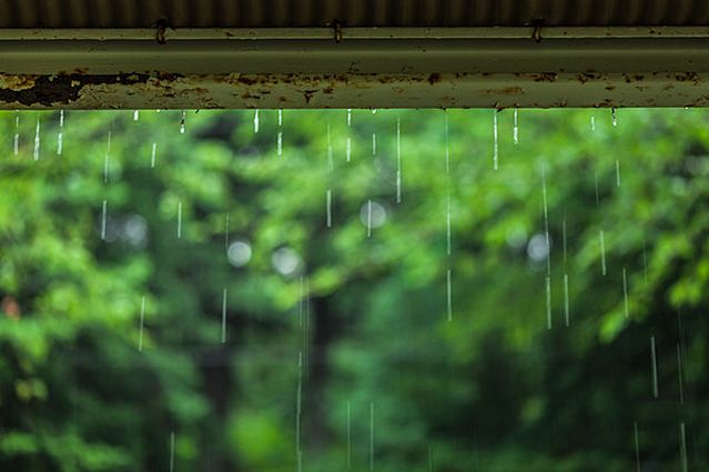 軒の玉水